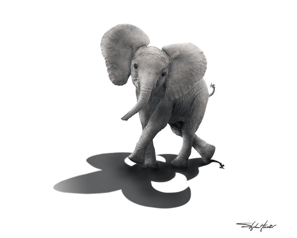 Elephant Tails Print