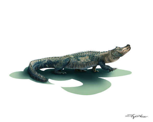 Lator Gator Print
