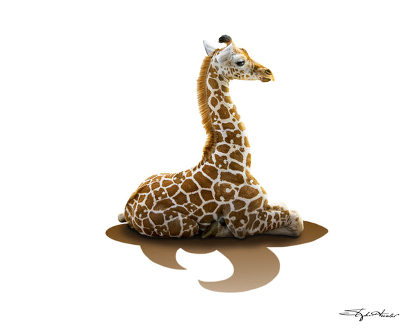 Giraffe Print
