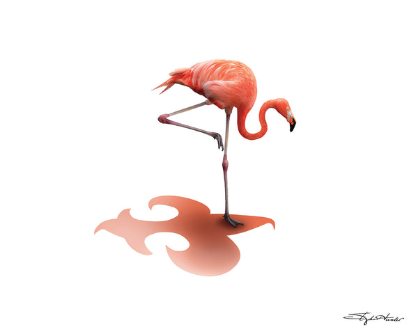 Flamingo Peering Print