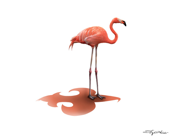 Flamingo Standing Print