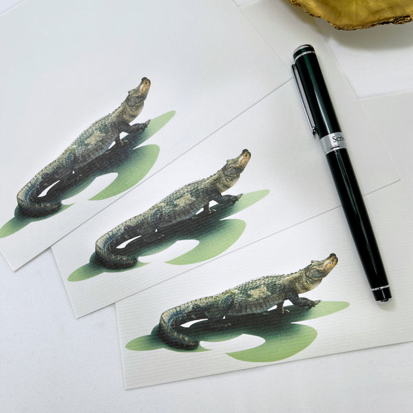 Later Gator Flat Note Card Pack