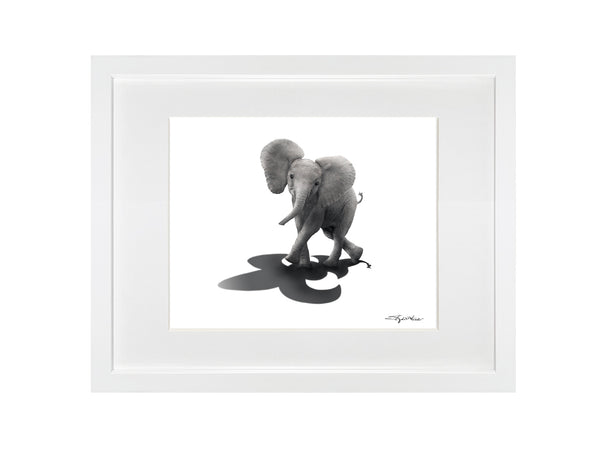 Elephant Tails Print