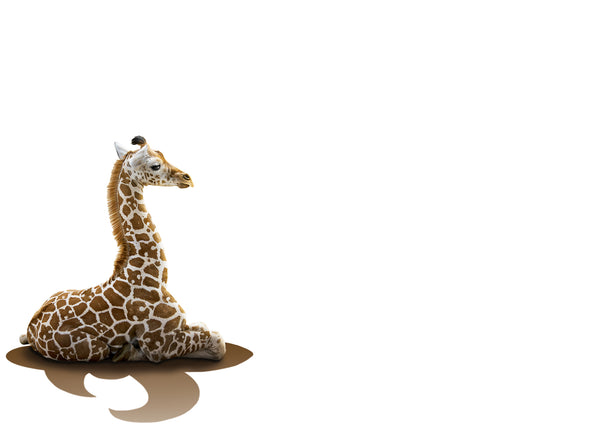 Giraffe Flat Card Pack