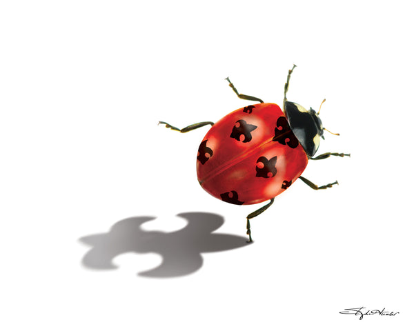 Ladybug Print