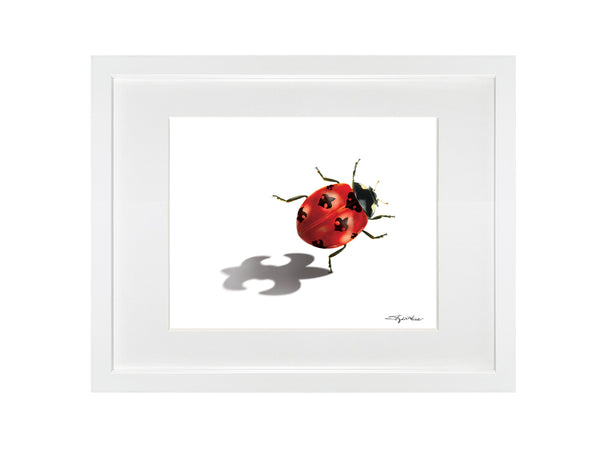 Ladybug Print